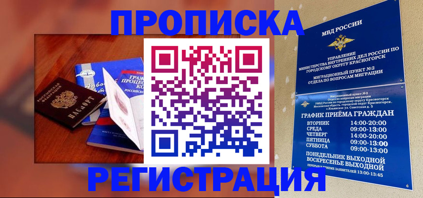 временная регистрация для школы в Тимашёвске